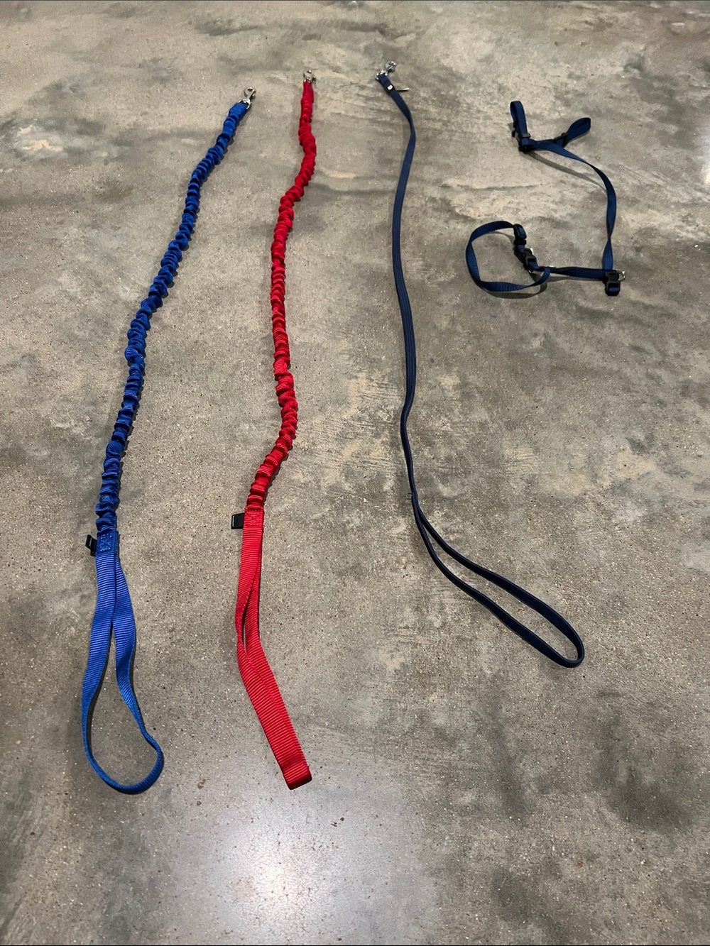 CAT Adjustable Safety Harness and Bungee Leash Set - Blue, Red, and Navy